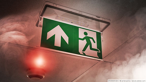 #165685404 / © ambrozinio / stock.adobe.com